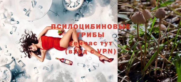 спиды Белокуриха