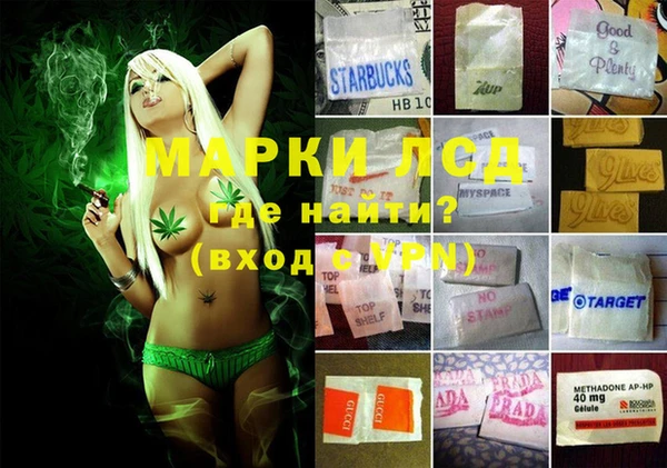 спиды Белокуриха