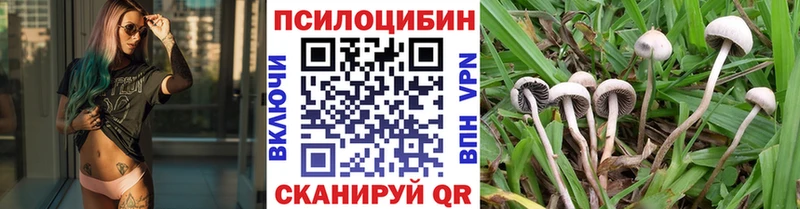 darknet формула  kraken онион  Кущёвская  Псилоцибиновые грибы мицелий 
